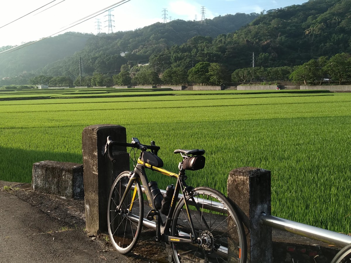 人生的轉折，大多不是想像中的美好